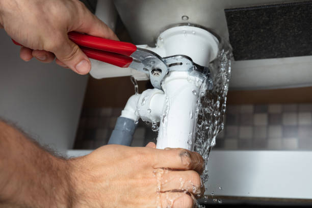 Best Mold removal after water damage  in Blackville, SC