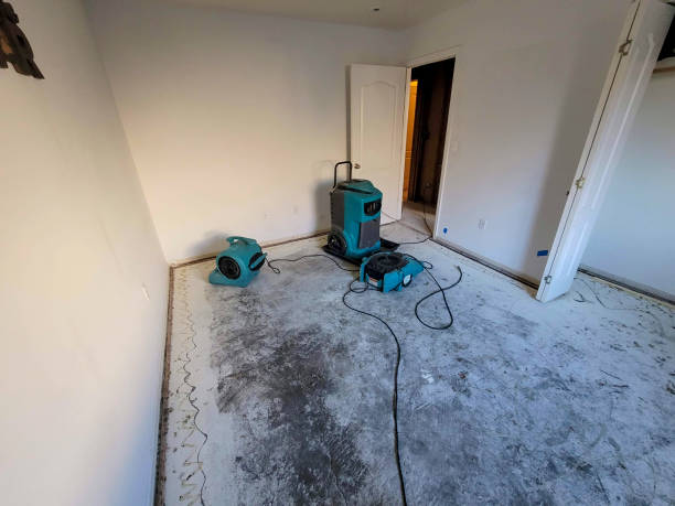 Best Sewage cleanup and water damage restoration  in Blackville, SC