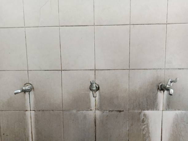 Local water damage restoration in Blackville, SC