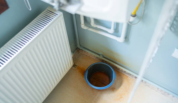 Best Flood damage cleanup  in Blackville, SC